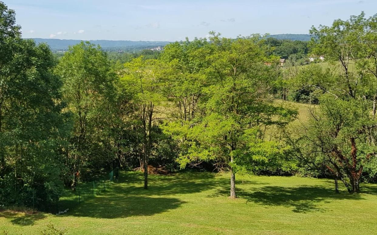 ホテル Le Domaine De Tizo Saint-Victor-de-Morestel エクステリア 写真
